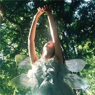 罗斯威尔第一季