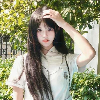 当狗爱上猫粤语