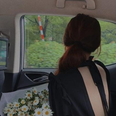 夜的姐妹